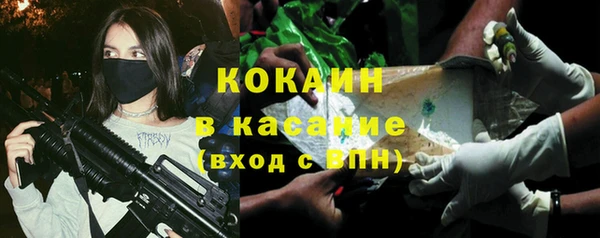 прущие грибы Алексин